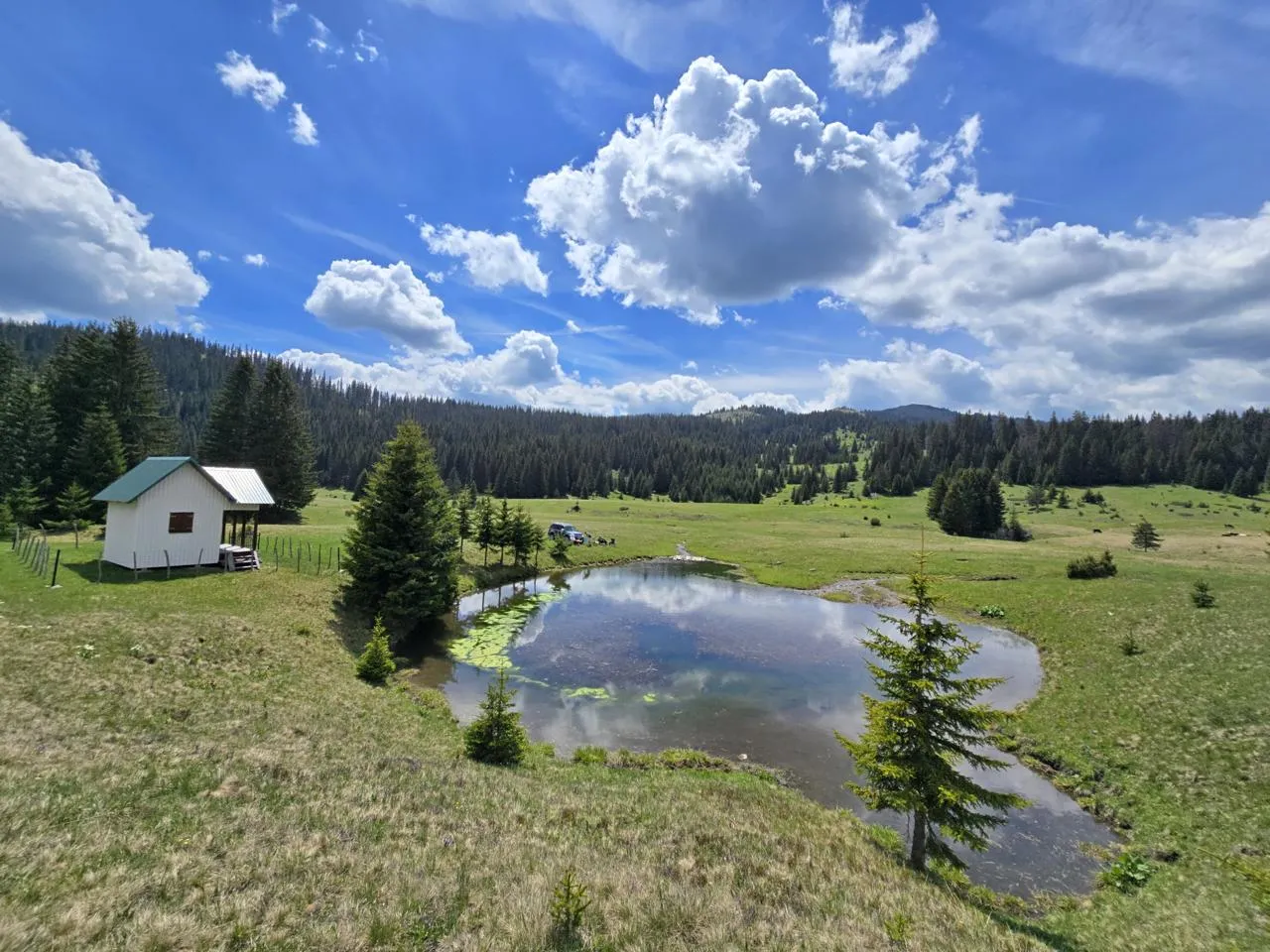 Ljubišnja Jeep Safari – Explore Hidden Wilderness