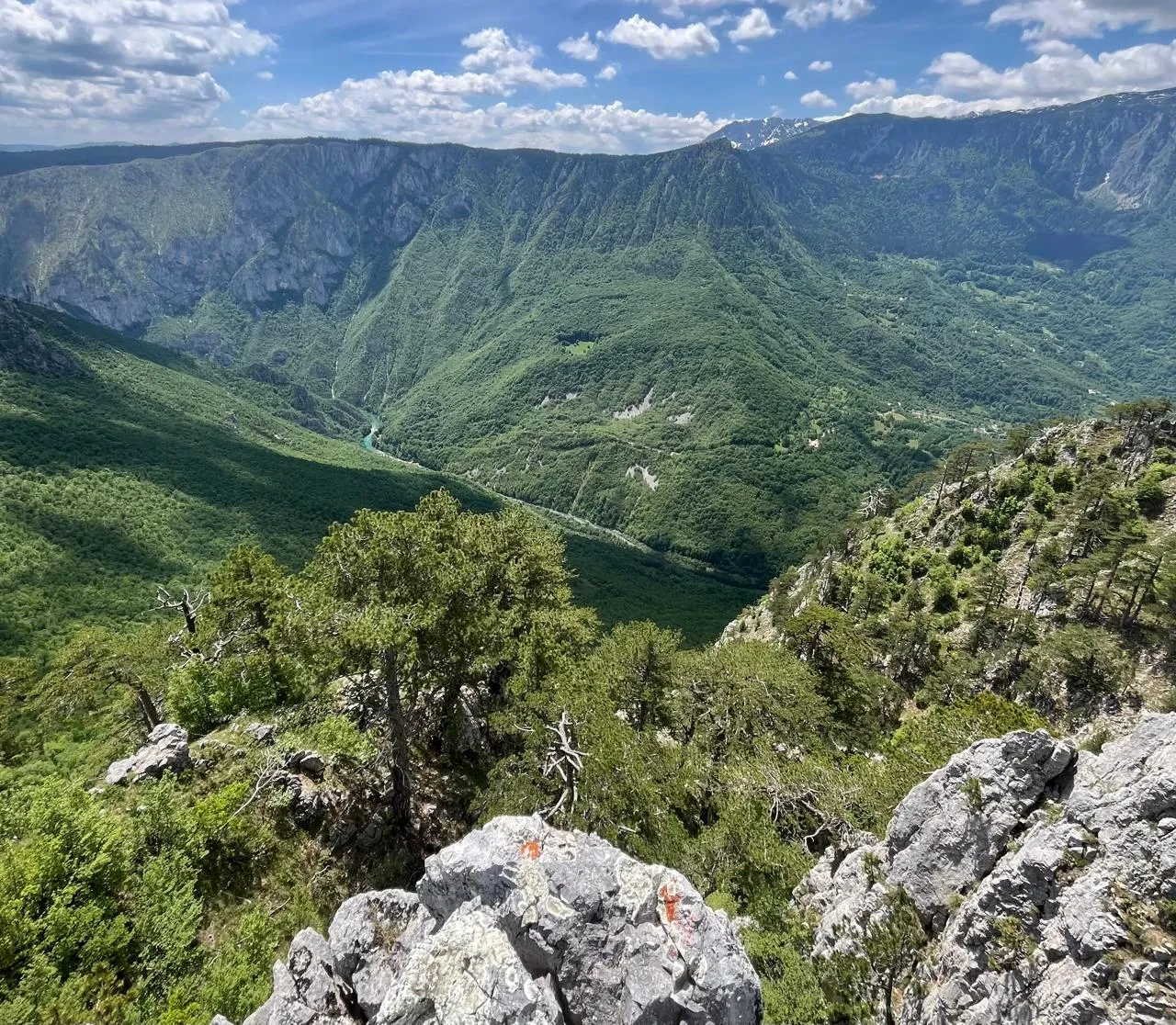 Ljubišnja Jeep Safari – Explore Hidden Wilderness
