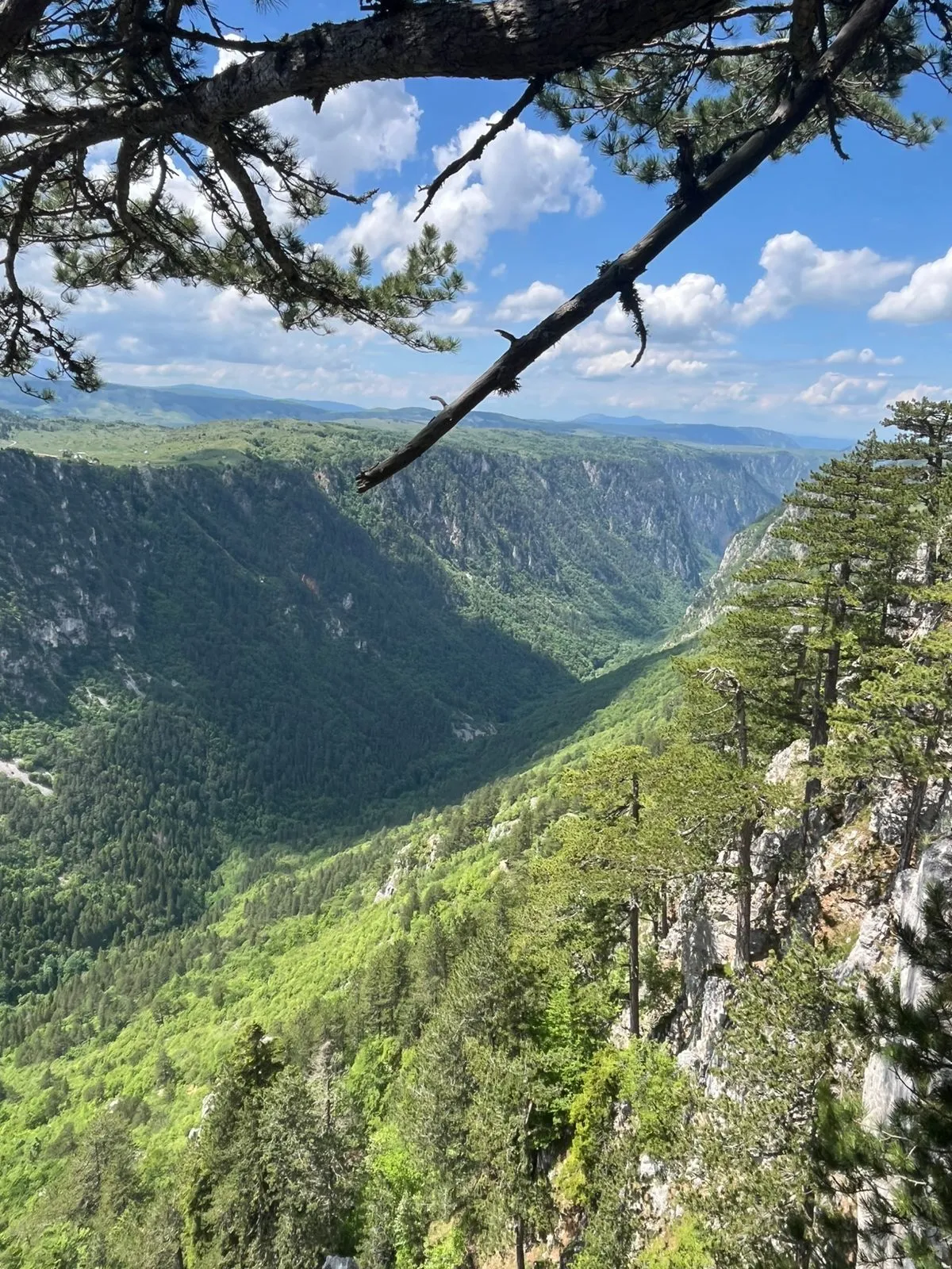 Durmitor Ring with Piva Lake Cruise
