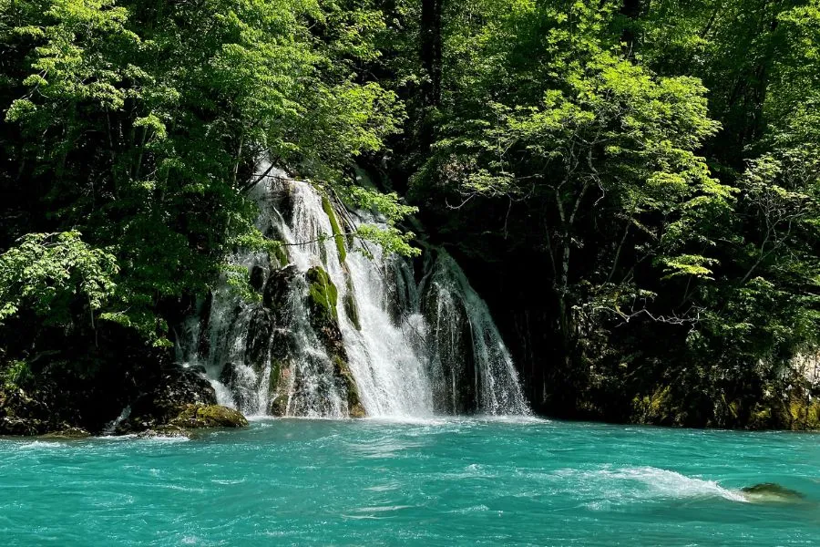 Tara River Rafting Full Day